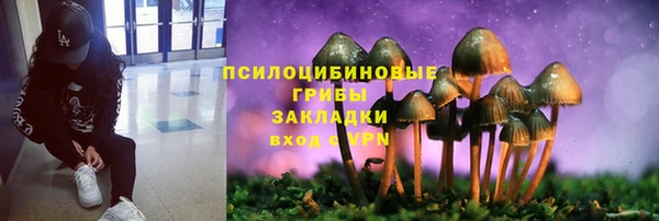 твердый Аркадак