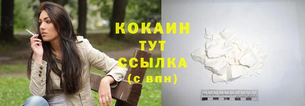 твердый Аркадак