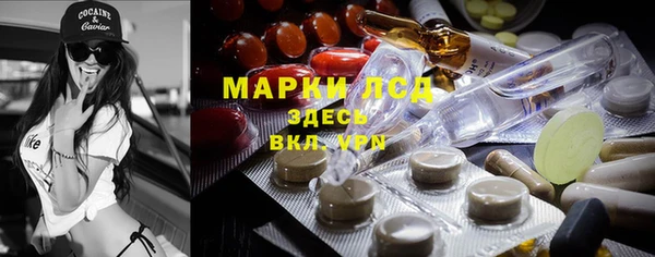 твердый Аркадак